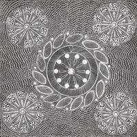 Aboriginal Artwork by Jocelyn Napanangka Frank, Yurrampi Jukurrpa (Honey Ant Dreaming), 46x46cm