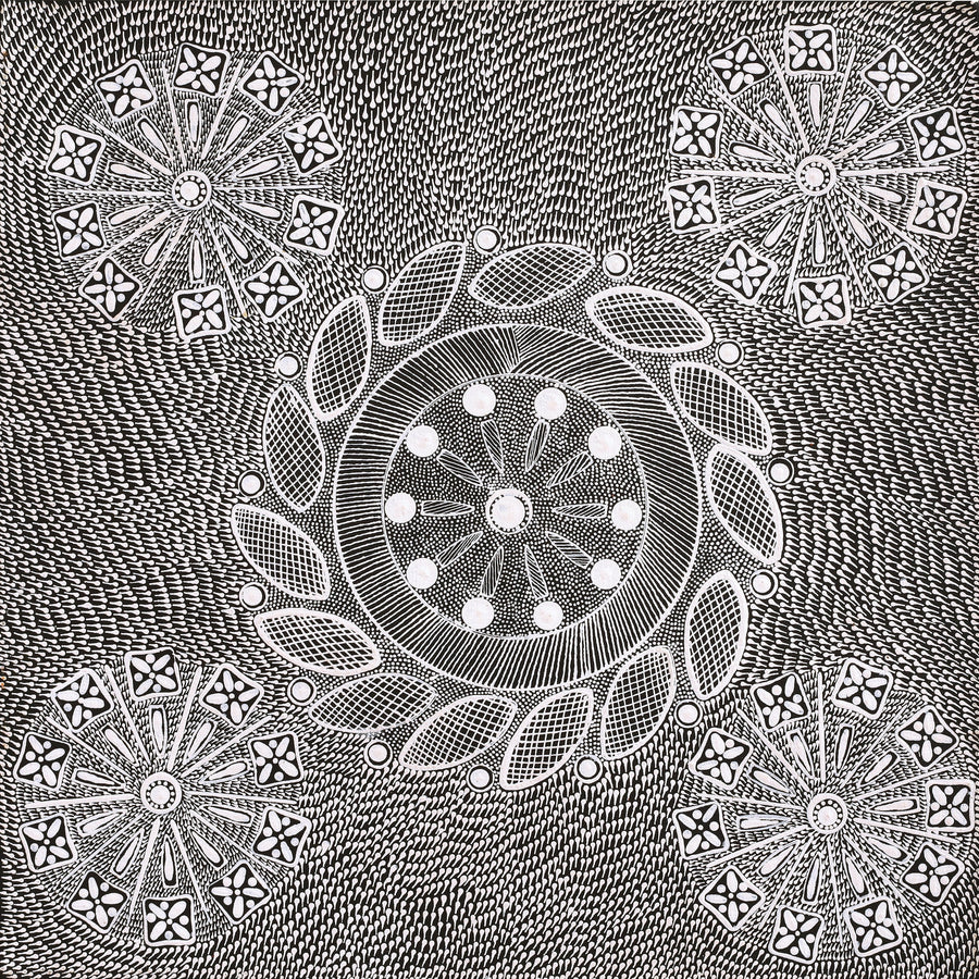 Aboriginal Artwork by Jocelyn Napanangka Frank, Yurrampi Jukurrpa (Honey Ant Dreaming), 46x46cm