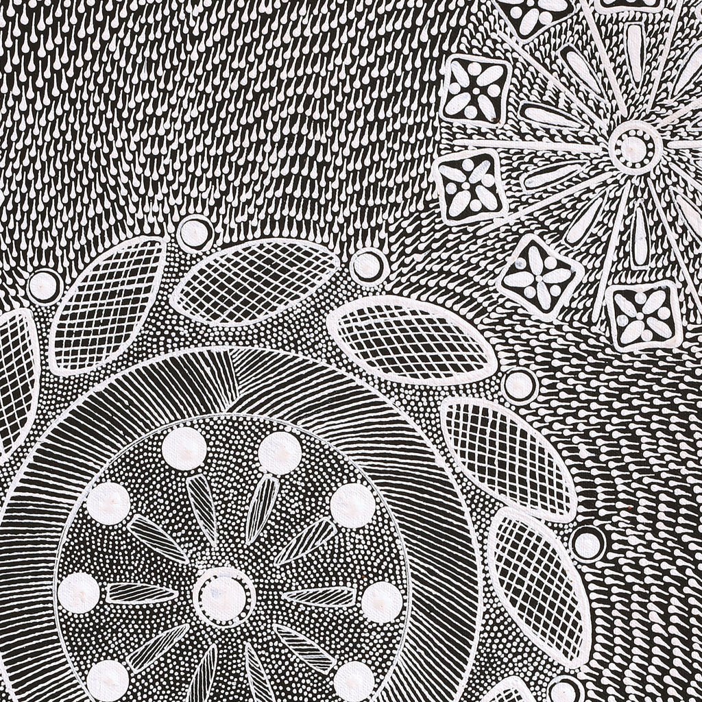 Aboriginal Artwork by Jocelyn Napanangka Frank, Yurrampi Jukurrpa (Honey Ant Dreaming), 46x46cm