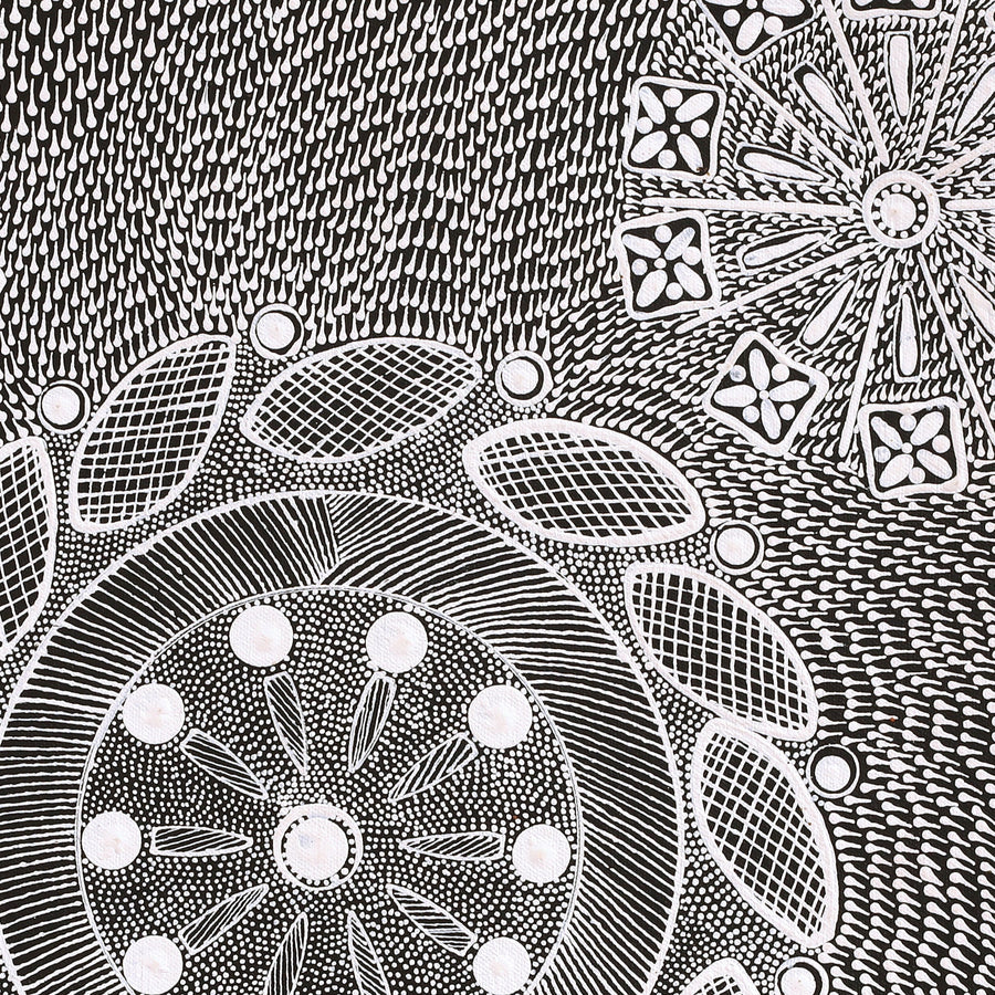 Aboriginal Artwork by Jocelyn Napanangka Frank, Yurrampi Jukurrpa (Honey Ant Dreaming), 46x46cm