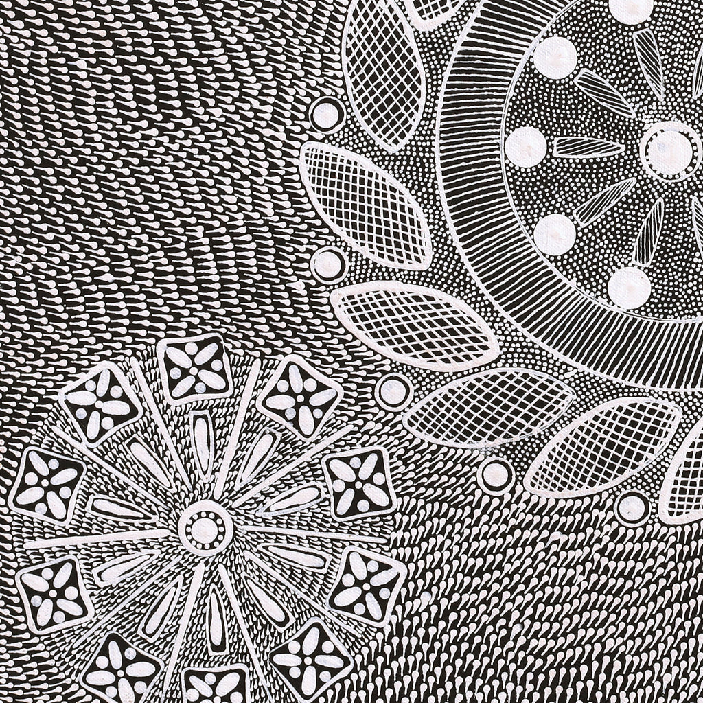 Aboriginal Artwork by Jocelyn Napanangka Frank, Yurrampi Jukurrpa (Honey Ant Dreaming), 46x46cm