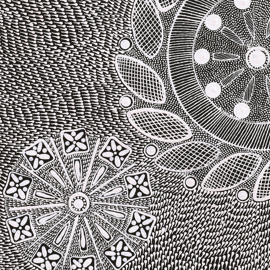 Aboriginal Artwork by Jocelyn Napanangka Frank, Yurrampi Jukurrpa (Honey Ant Dreaming), 46x46cm