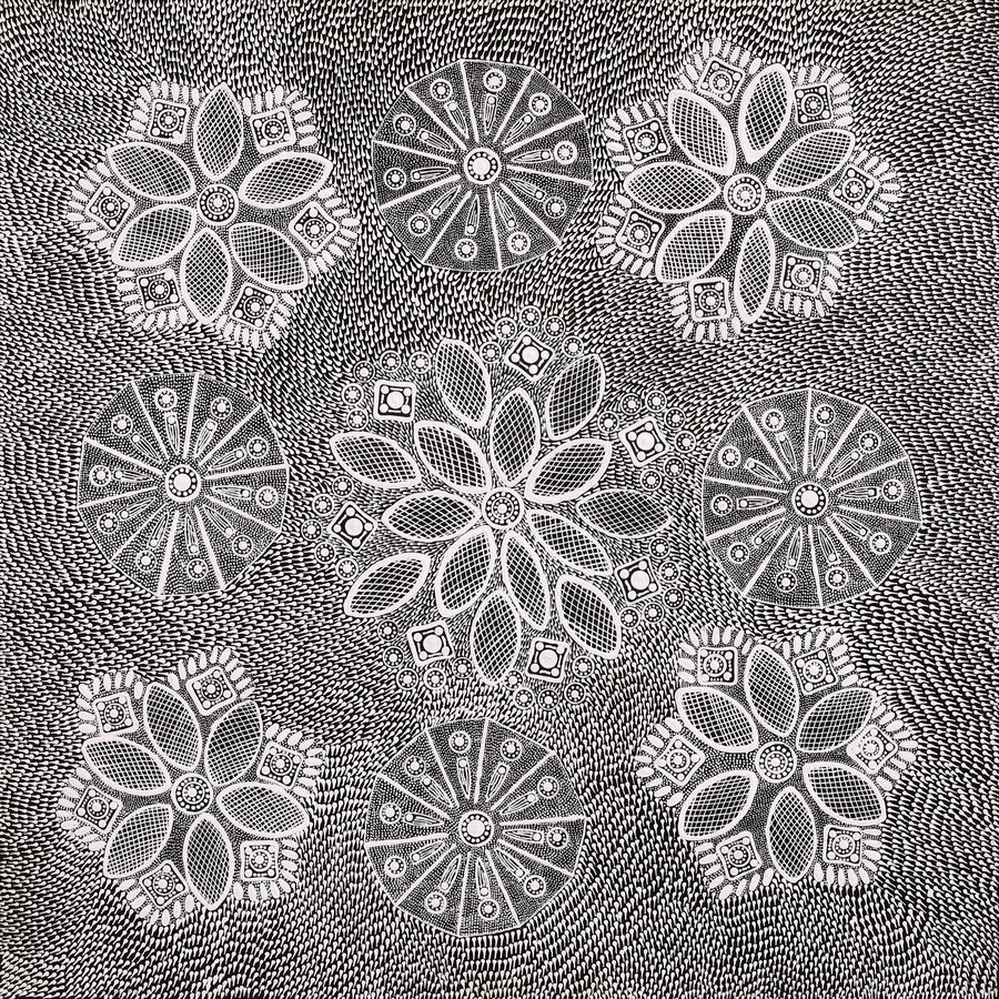 Aboriginal Artwork by Jocelyn Napanangka Frank, Yurrampi Jukurrpa (Honey Ant Dreaming), 61x61cm