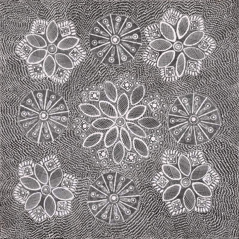 Aboriginal Artwork by Jocelyn Napanangka Frank, Yurrampi Jukurrpa (Honey Ant Dreaming), 61x61cm