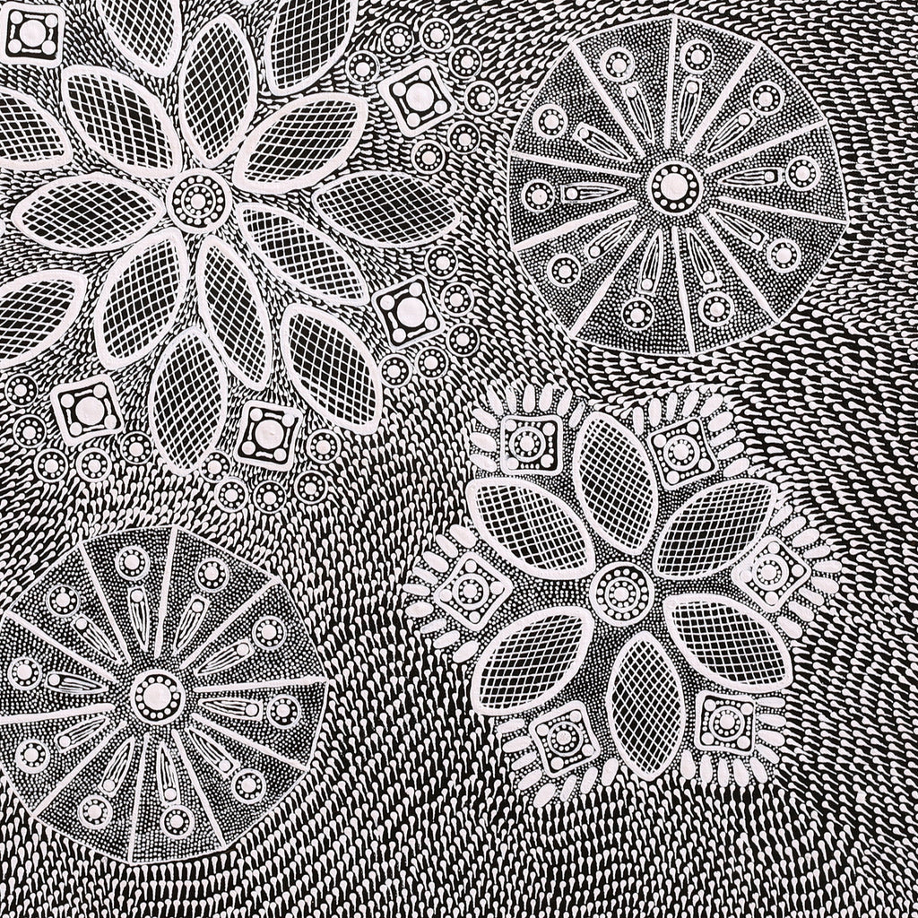 Aboriginal Artwork by Jocelyn Napanangka Frank, Yurrampi Jukurrpa (Honey Ant Dreaming), 61x61cm