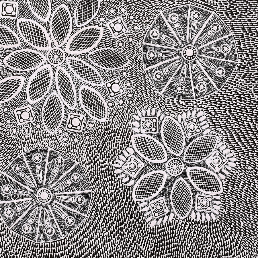 Aboriginal Artwork by Jocelyn Napanangka Frank, Yurrampi Jukurrpa (Honey Ant Dreaming), 61x61cm