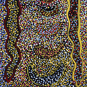 Aboriginal Artwork by Joshua Jungarrayi Brady, The Seven Sisters - Anangu Pitjantjatjara Yankunytjatjara Jukurrpa, 61x30cm - ART ARK®