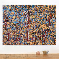 Aboriginal Artwork by Joshua Jungarrayi Brady, The Seven Sisters - Anangu Pitjantjatjara Yankunytjatjara Jukurrpa, 61x46cm