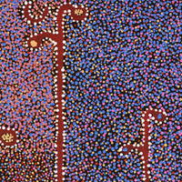 Aboriginal Artwork by Joshua Jungarrayi Brady, The Seven Sisters - Anangu Pitjantjatjara Yankunytjatjara Jukurrpa, 91x46cm