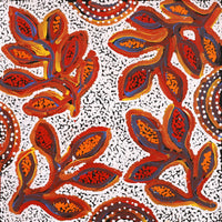 Aboriginal Artwork by Juliette Nampijinpa Brown, Ngapa Jukurrpa (Water Dreaming) - Mikanji, 46x46cm