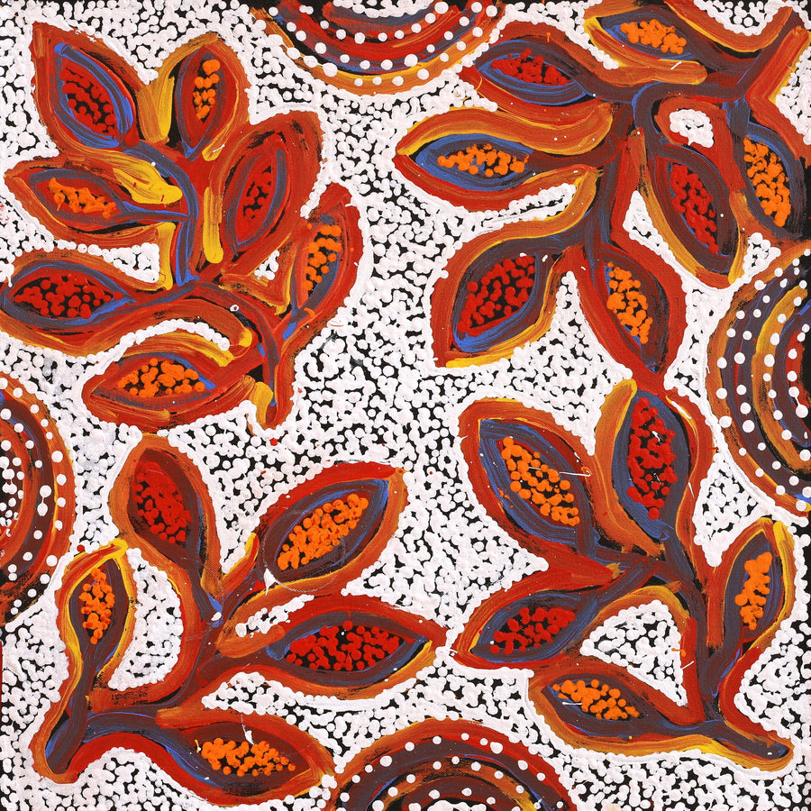 Aboriginal Artwork by Juliette Nampijinpa Brown, Ngapa Jukurrpa (Water Dreaming) - Mikanji, 46x46cm