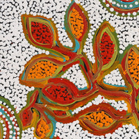 Aboriginal Artwork by Juliette Nampijinpa Brown, Ngapa Jukurrpa (Water Dreaming) - Mikanji, 46x46cm