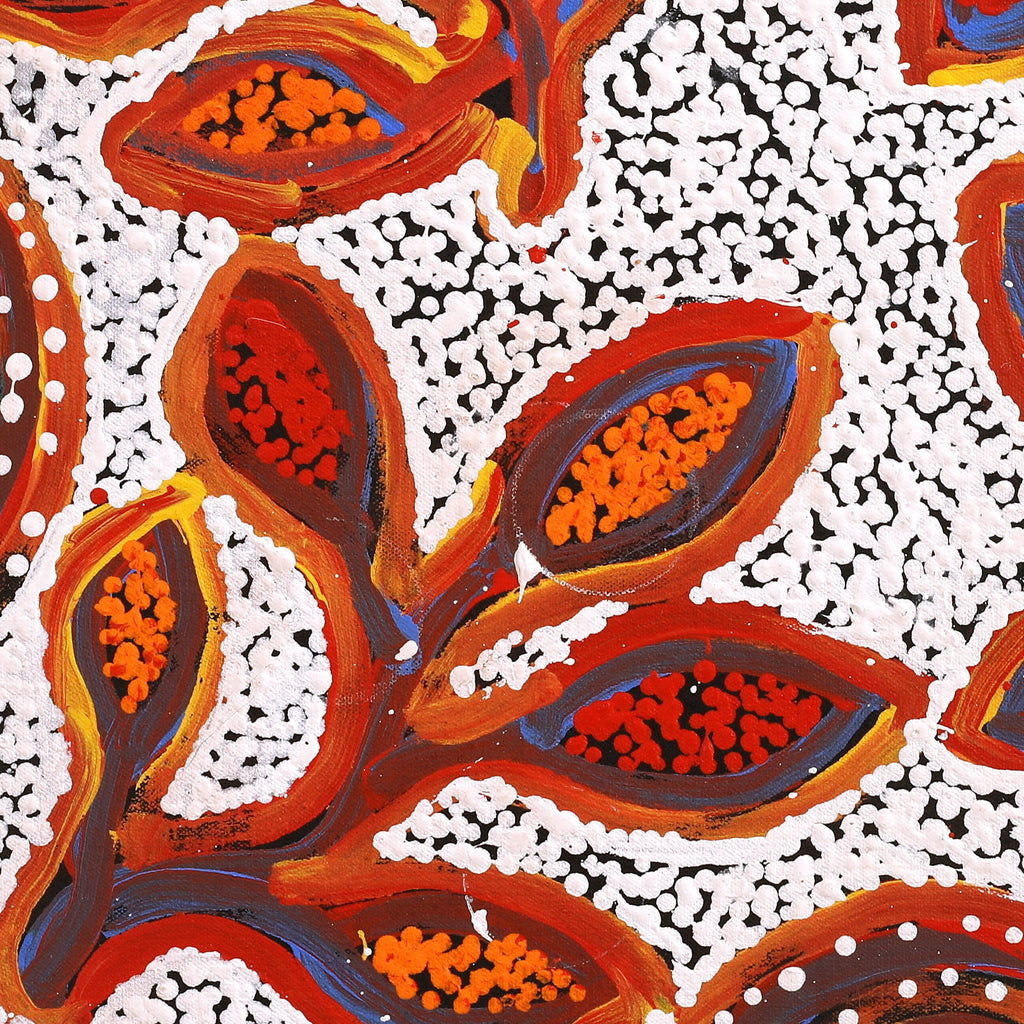 Aboriginal Artwork by Juliette Nampijinpa Brown, Ngapa Jukurrpa (Water Dreaming) - Mikanji, 46x46cm