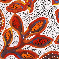 Aboriginal Artwork by Juliette Nampijinpa Brown, Ngapa Jukurrpa (Water Dreaming) - Mikanji, 46x46cm