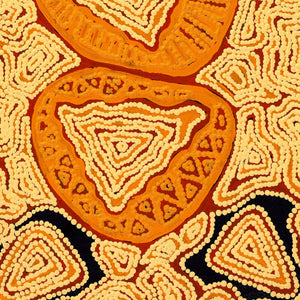 Aboriginal Art by Juliette Nampijinpa Brown, Ngapa Jukurrpa (Water Dreaming) - Mikanji, 61x30cm - ART ARK®