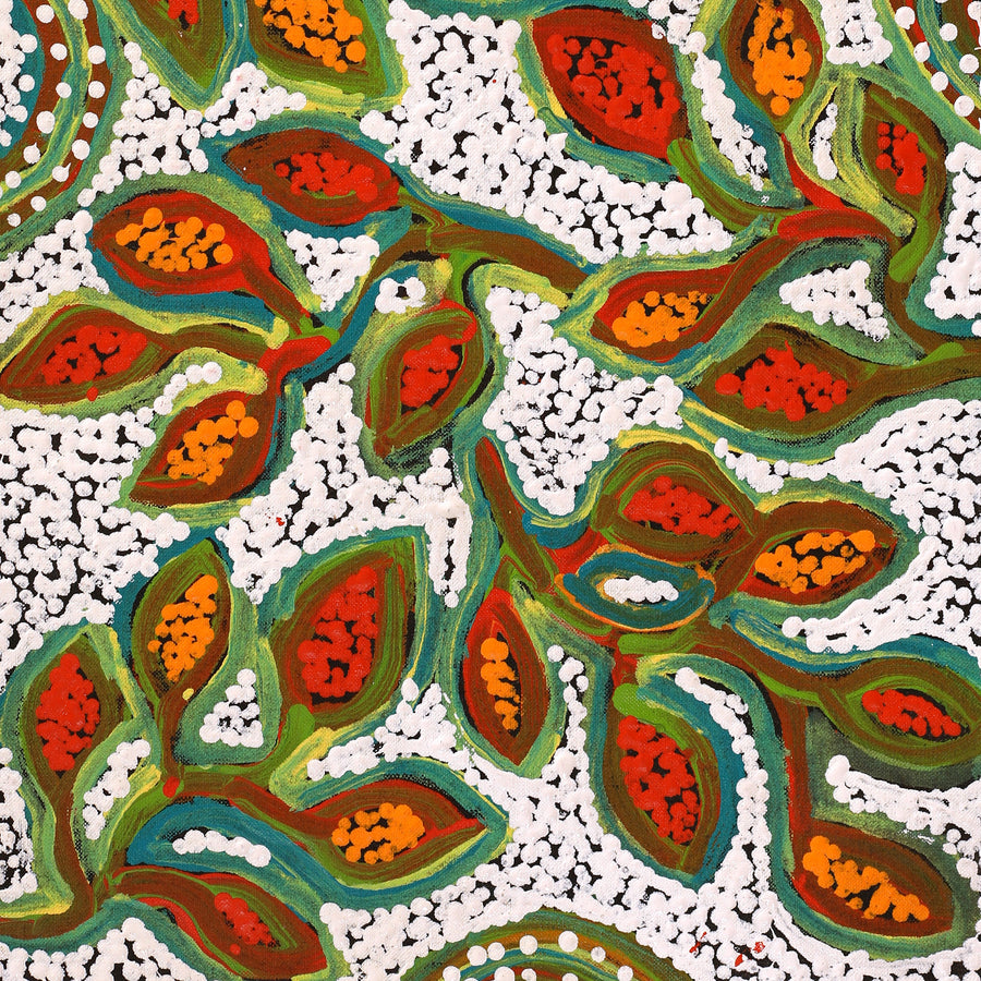 Aboriginal Artwork by Juliette Nampijinpa Brown, Ngapa Jukurrpa (Water Dreaming) - Mikanji, 61x30cm