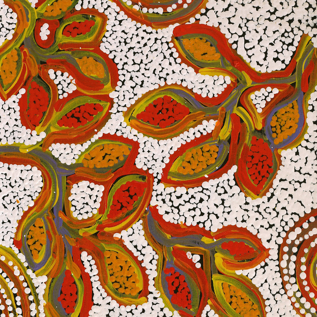 Aboriginal Artwork by Juliette Nampijinpa Brown, Ngapa Jukurrpa (Water Dreaming) - Mikanji, 61x30cm