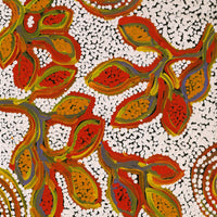 Aboriginal Artwork by Juliette Nampijinpa Brown, Ngapa Jukurrpa (Water Dreaming) - Mikanji, 61x30cm