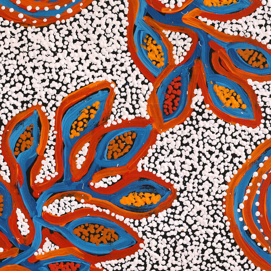 Aboriginal Artwork by Juliette Nampijinpa Brown, Ngapa Jukurrpa (Water Dreaming) - Mikanji, 61x61cm