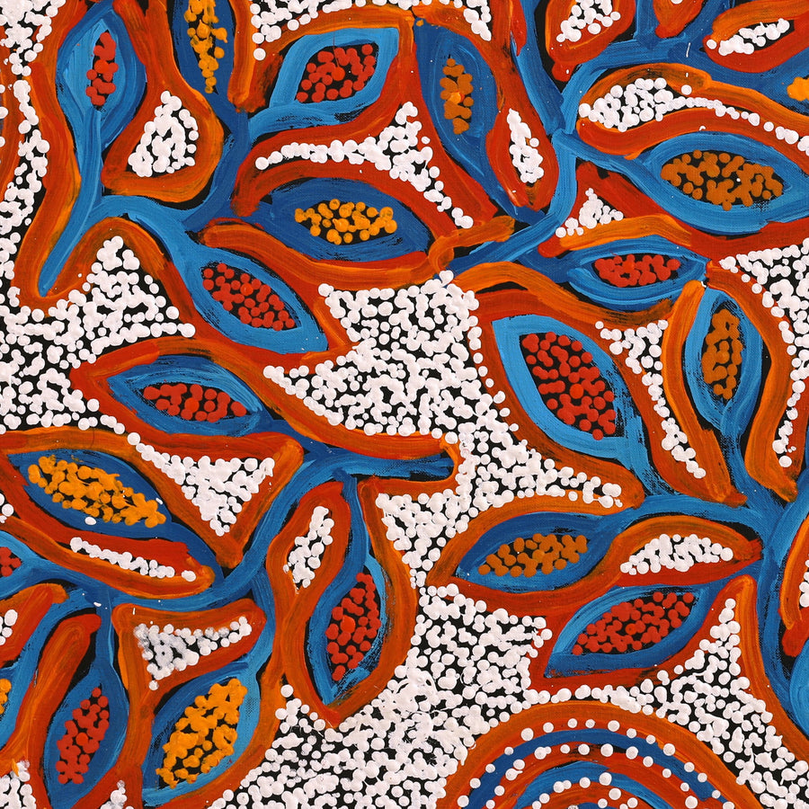 Aboriginal Artwork by Juliette Nampijinpa Brown, Ngapa Jukurrpa (Water Dreaming) - Mikanji, 61x61cm