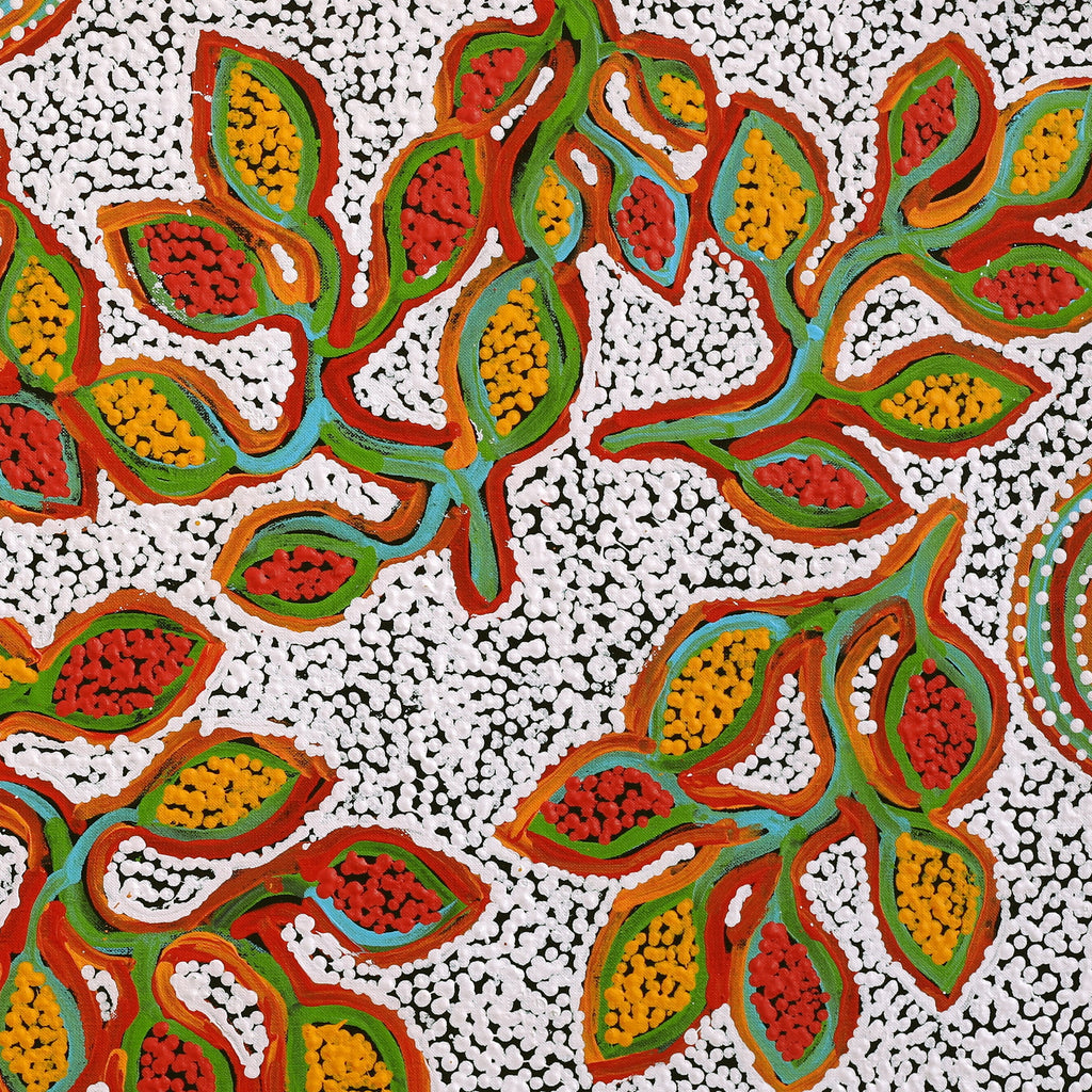 Aboriginal Artwork by Juliette Nampijinpa Brown, Ngapa Jukurrpa (Water Dreaming) - Mikanji, 91x46cm