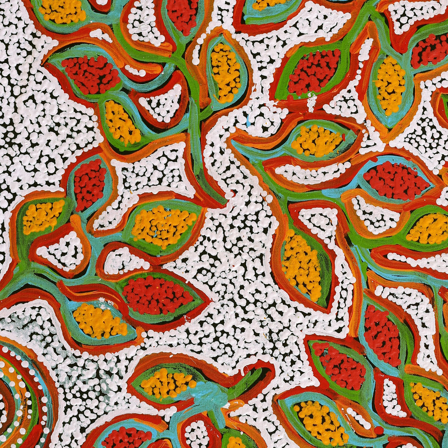 Aboriginal Artwork by Juliette Nampijinpa Brown, Ngapa Jukurrpa (Water Dreaming) - Mikanji, 91x46cm