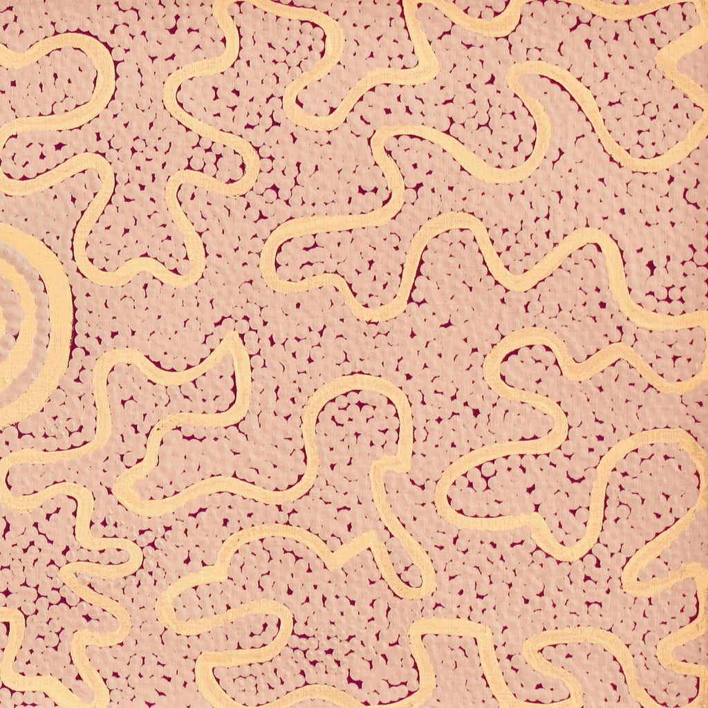Aboriginal Artwork by Kelly-Anne Nungarrayi Gibson, Ngapa Jukurrpa (Water Dreaming) - Puyurru, 107x30cm
