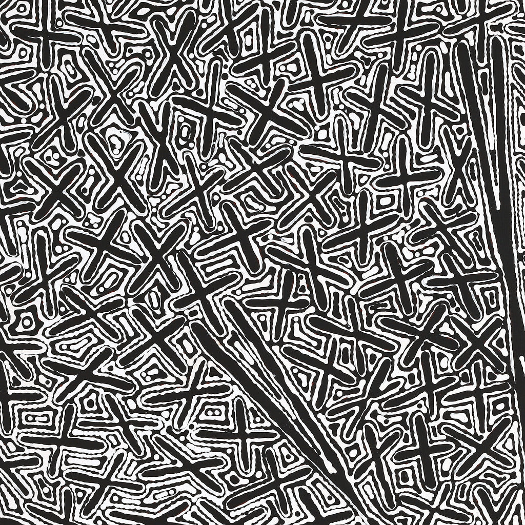 Aboriginal Artwork by Kenneth Jungarrayi Martin, Ngatijirri Jukurrpa (Budgerigar Dreaming), 107x107cm