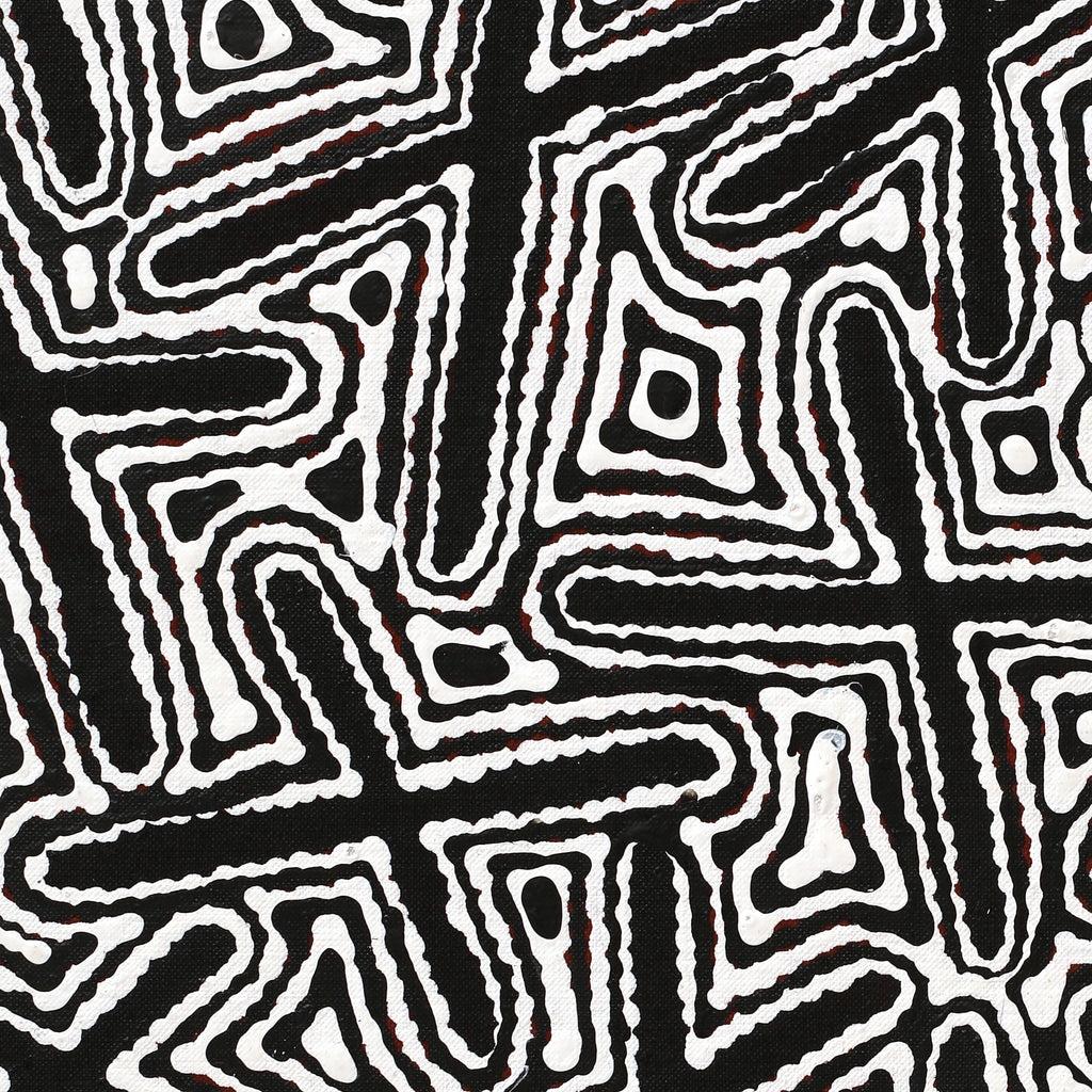 Aboriginal Artwork by Kenneth Jungarrayi Martin, Ngatijirri Jukurrpa (Budgerigar Dreaming), 107x76cm