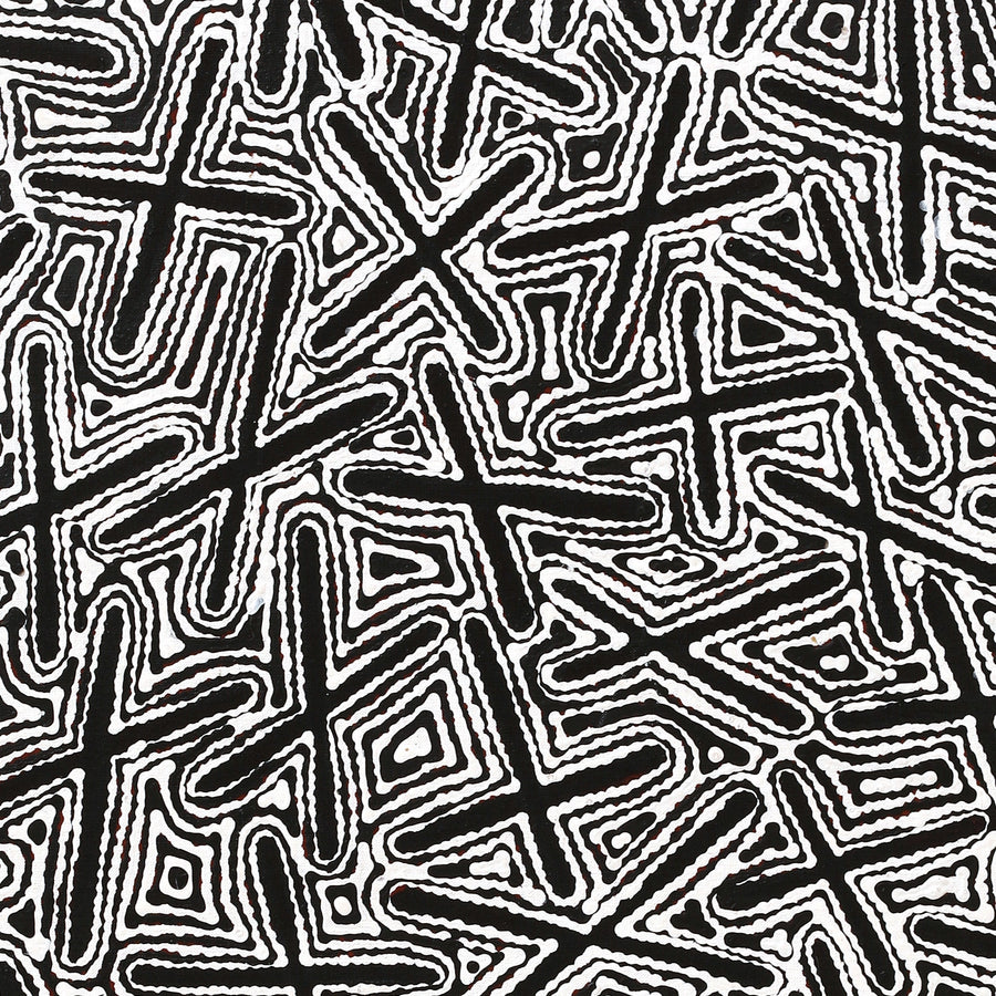 Aboriginal Artwork by Kenneth Jungarrayi Martin, Ngatijirri Jukurrpa (Budgerigar Dreaming), 107x76cm