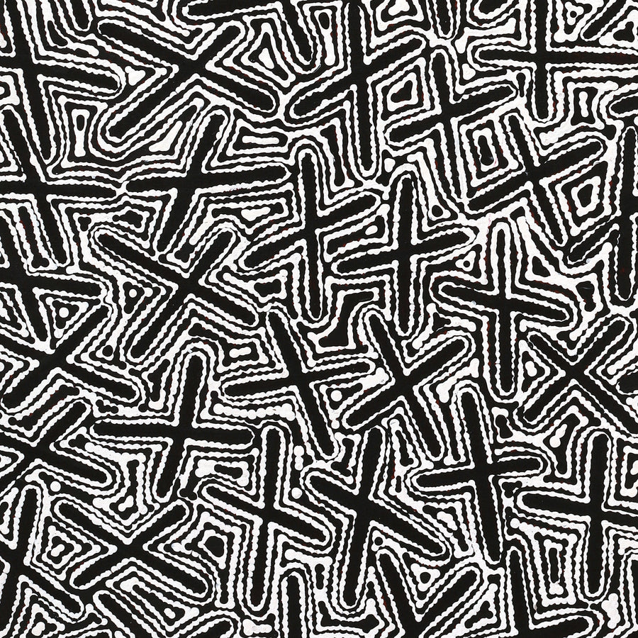 Aboriginal Artwork by Kenneth Jungarrayi Martin, Ngatijirri Jukurrpa (Budgerigar Dreaming), 107x76cm