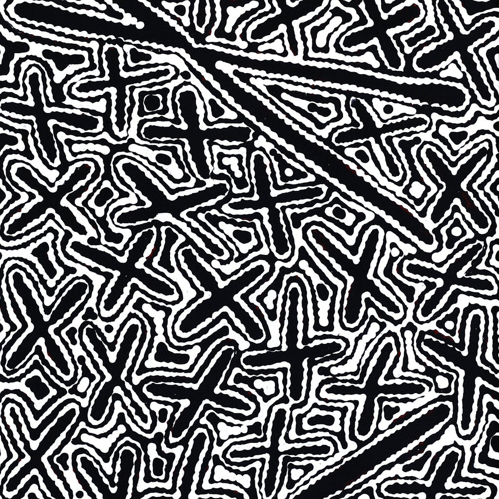 Aboriginal Artwork by Kenneth Jungarrayi Martin, Ngatijirri Jukurrpa (Budgerigar Dreaming), 122x30cm