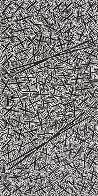 Aboriginal Artwork by Kenneth Jungarrayi Martin, Ngatijirri Jukurrpa (Budgerigar Dreaming), 122x61cm