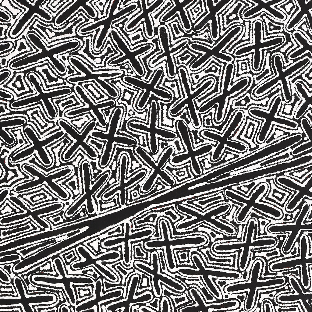 Aboriginal Artwork by Kenneth Jungarrayi Martin, Ngatijirri Jukurrpa (Budgerigar Dreaming), 122x61cm