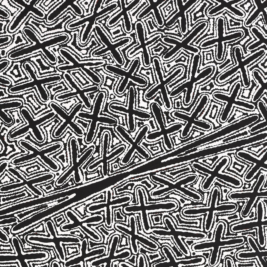 Aboriginal Artwork by Kenneth Jungarrayi Martin, Ngatijirri Jukurrpa (Budgerigar Dreaming), 122x61cm