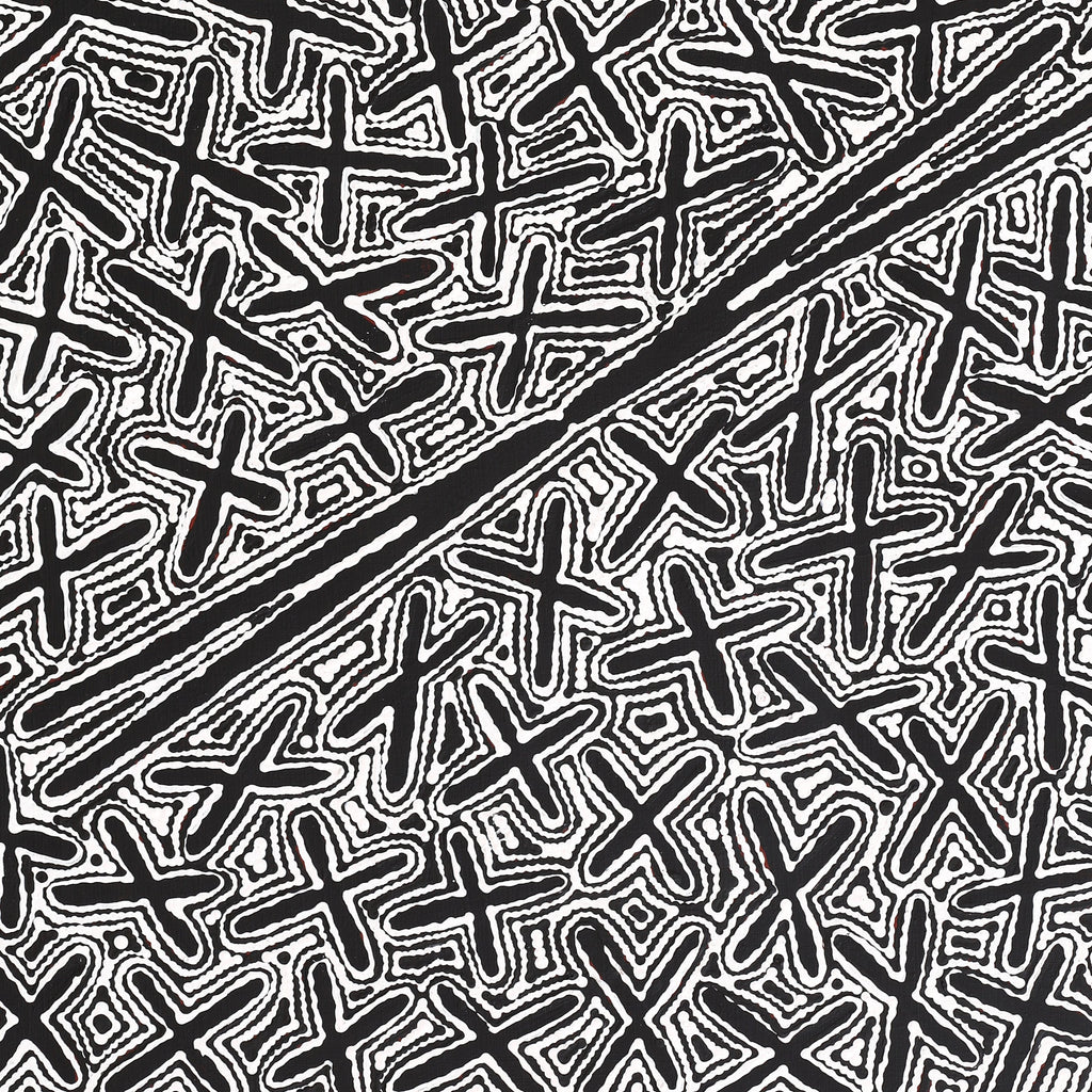 Aboriginal Artwork by Kenneth Jungarrayi Martin, Ngatijirri Jukurrpa (Budgerigar Dreaming), 122x61cm