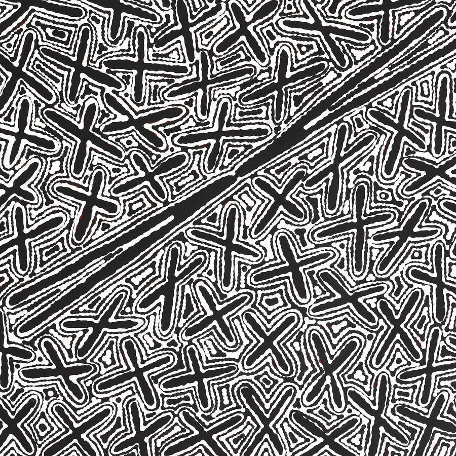 Aboriginal Artwork by Kenneth Jungarrayi Martin, Ngatijirri Jukurrpa (Budgerigar Dreaming), 122x61cm