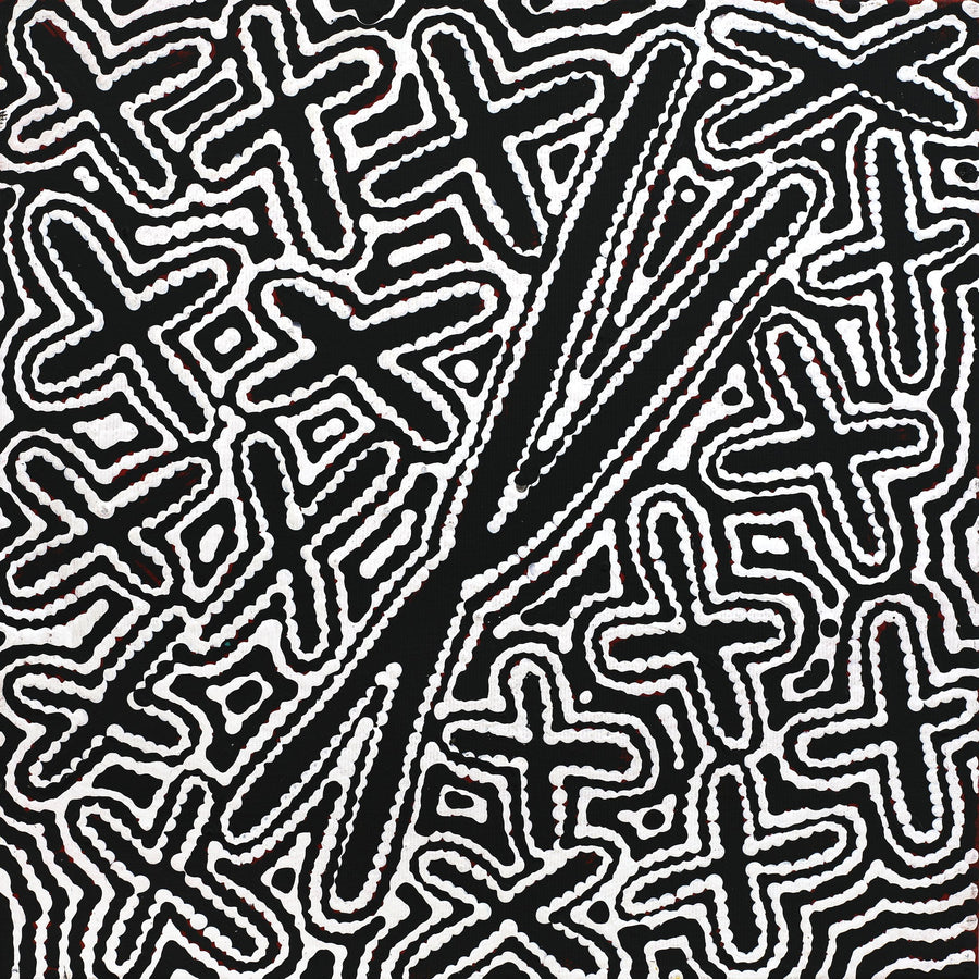 Aboriginal Artwork by Kenneth Jungarrayi Martin, Ngatijirri Jukurrpa (Budgerigar Dreaming), 30x30cm