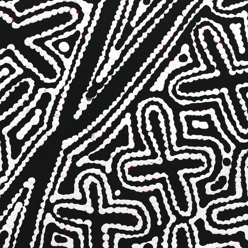 Aboriginal Artwork by Kenneth Jungarrayi Martin, Ngatijirri Jukurrpa (Budgerigar Dreaming), 30x30cm