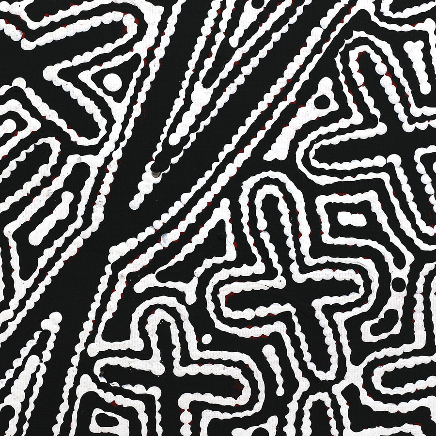 Aboriginal Artwork by Kenneth Jungarrayi Martin, Ngatijirri Jukurrpa (Budgerigar Dreaming), 30x30cm