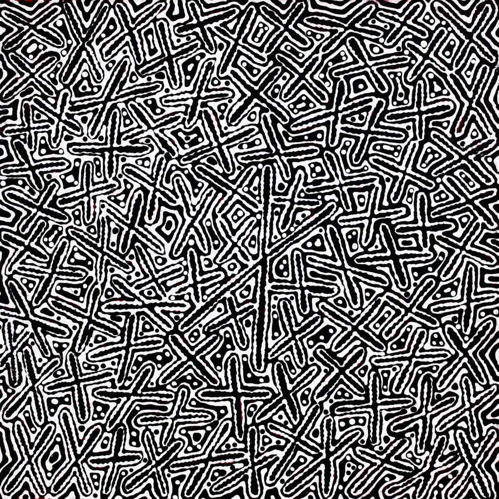 Aboriginal Artwork by Kenneth Jungarrayi Martin, Ngatijirri Jukurrpa (Budgerigar Dreaming), 61x61cm
