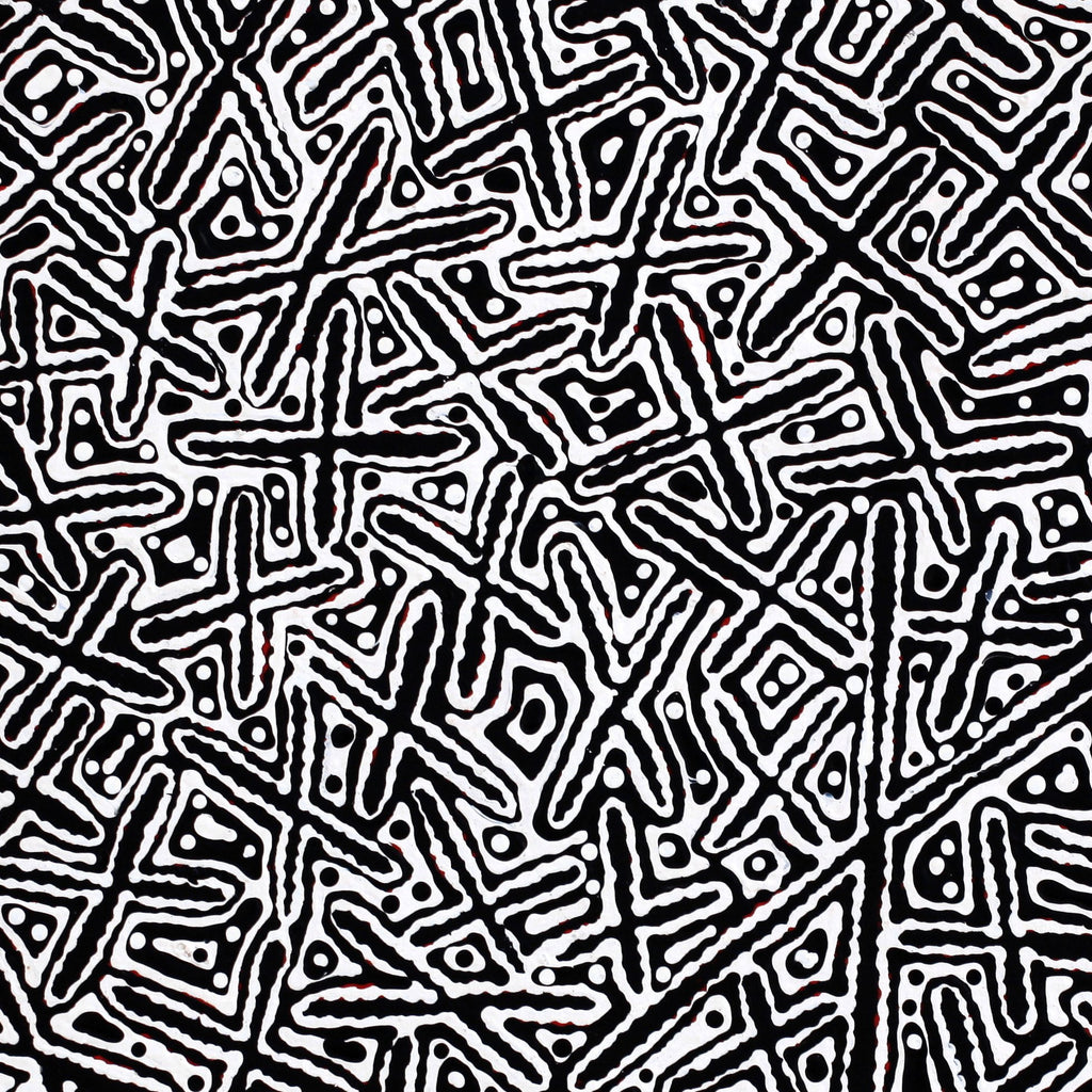 Aboriginal Artwork by Kenneth Jungarrayi Martin, Ngatijirri Jukurrpa (Budgerigar Dreaming), 61x61cm