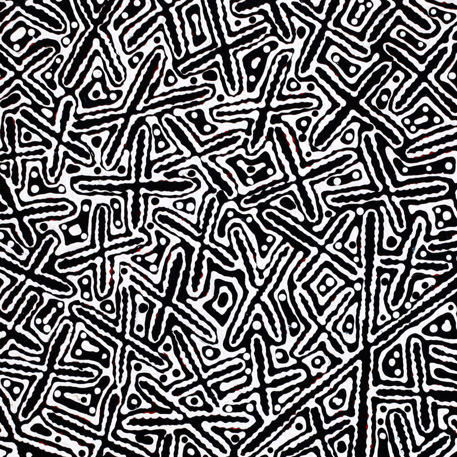 Aboriginal Artwork by Kenneth Jungarrayi Martin, Ngatijirri Jukurrpa (Budgerigar Dreaming), 61x61cm