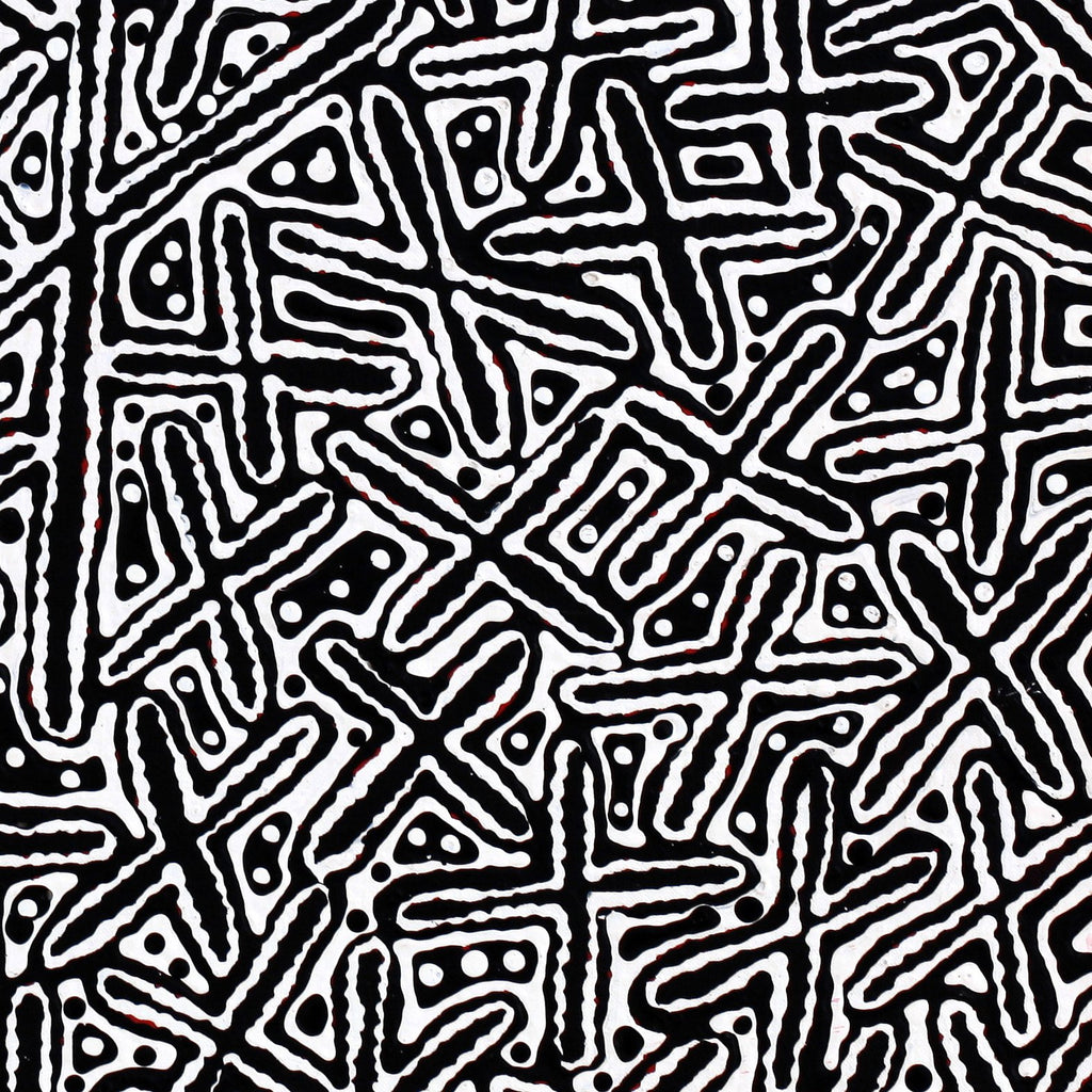 Aboriginal Artwork by Kenneth Jungarrayi Martin, Ngatijirri Jukurrpa (Budgerigar Dreaming), 61x61cm