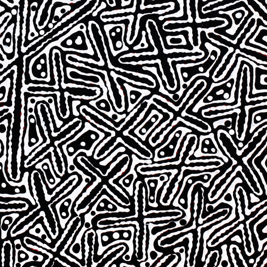 Aboriginal Artwork by Kenneth Jungarrayi Martin, Ngatijirri Jukurrpa (Budgerigar Dreaming), 61x61cm