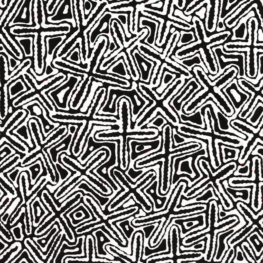 Aboriginal Artwork by Kenneth Jungarrayi Martin, Ngatijirri Jukurrpa (Budgerigar Dreaming), 91x46cm