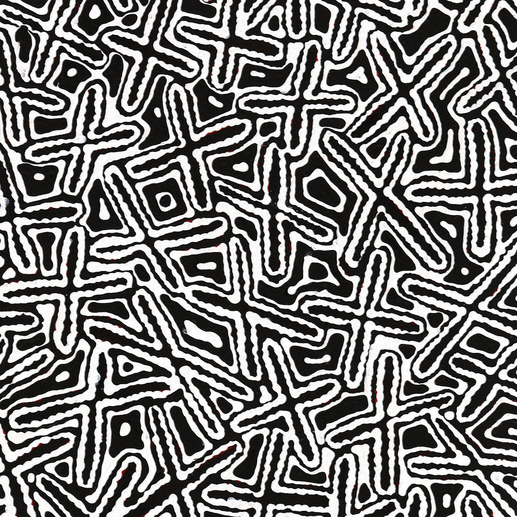 Aboriginal Artwork by Kenneth Jungarrayi Martin, Ngatijirri Jukurrpa (Budgerigar Dreaming), 91x46cm