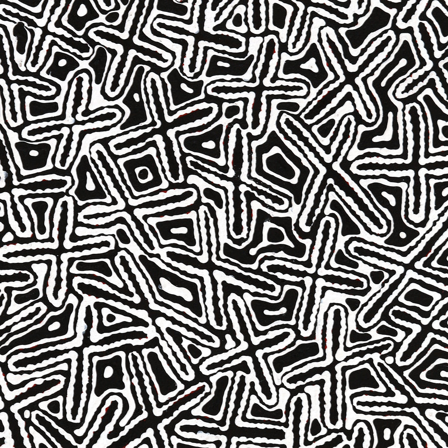 Aboriginal Artwork by Kenneth Jungarrayi Martin, Ngatijirri Jukurrpa (Budgerigar Dreaming), 91x46cm