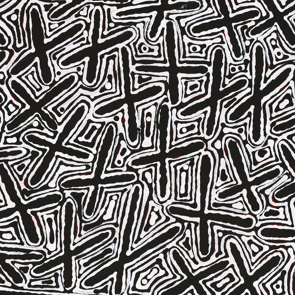 Aboriginal Artwork by Kenneth Jungarrayi Martin, Ngatijirri Jukurrpa (Budgerigar Dreaming), 91x61cm