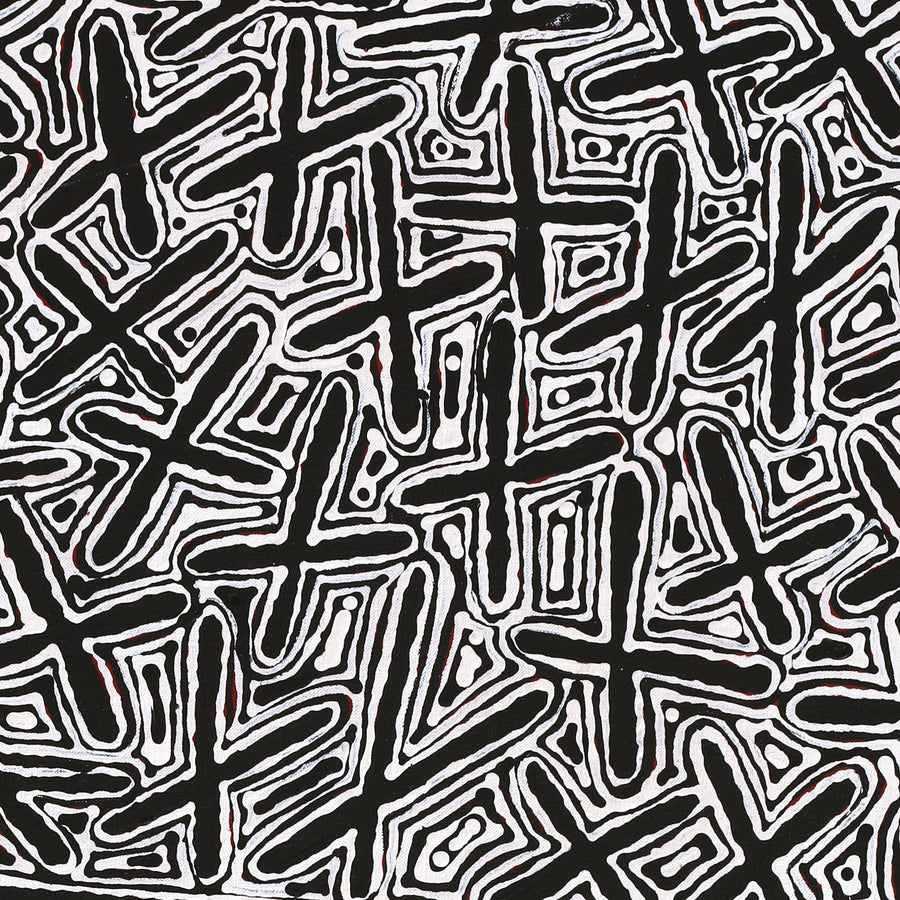 Aboriginal Artwork by Kenneth Jungarrayi Martin, Ngatijirri Jukurrpa (Budgerigar Dreaming), 91x61cm